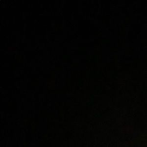 Meet your Posher, Dawson